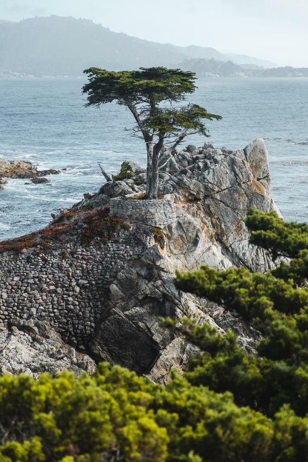 Sea View Inn - Carmel Exterior foto